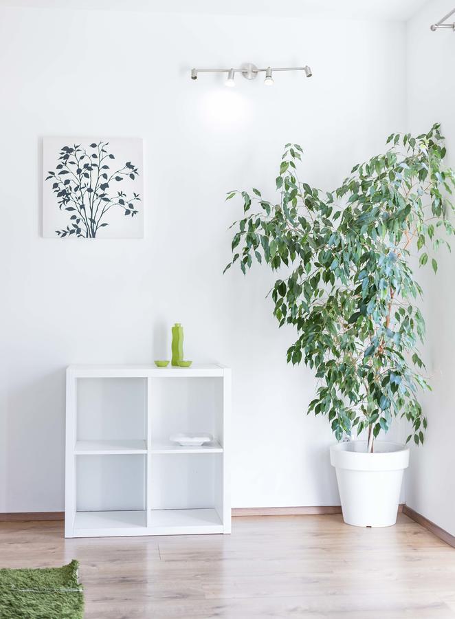 Apartments Tonka Centar ヴォディツェ エクステリア 写真